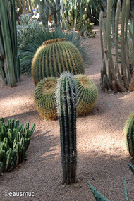 Jardin Majorelle